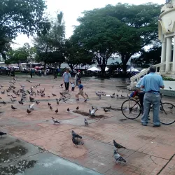 Parque Daniel Hernandez - Santa Tecla