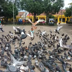 Parque Daniel Hernandez - Santa Tecla