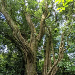Cerro Verde National Park - Zaragoza