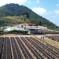 Coffee Plantations of Zaragoza - Zaragoza