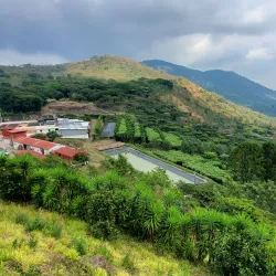 Coffee Plantations of Zaragoza - Zaragoza