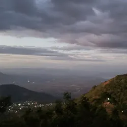 Coffee Plantations of Zaragoza - Zaragoza