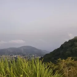 Coffee Plantations of Zaragoza - Zaragoza