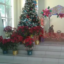 Iglesia de Zaragoza - Zaragoza