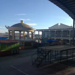 Parque Central de Zaragoza - Zaragoza