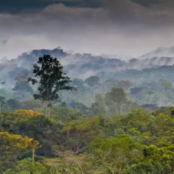 Monte Alen National Park - Bata