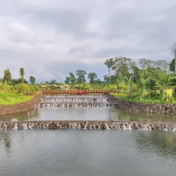 Malabo Botanical Gardens - Malabo