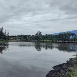 Malabo Botanical Gardens - Malabo