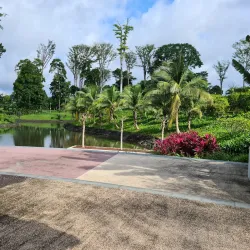 Malabo Botanical Gardens - Malabo