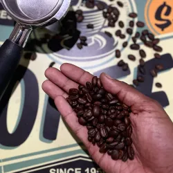 Local Coffee Shops - Addi Ugri (Mendefera)