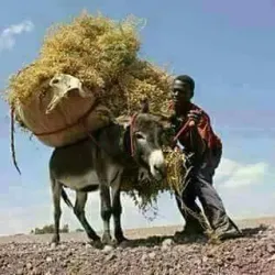 Mendefera Cultural Center - Addi Ugri (Mendefera)