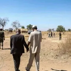 Mendefera Cultural Center - Addi Ugri (Mendefera)