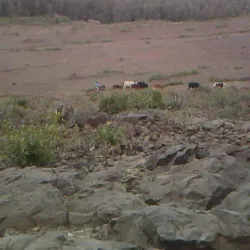 Adi Quala War Memorial - Adi Quala