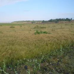 Adi Quala War Memorial - Adi Quala