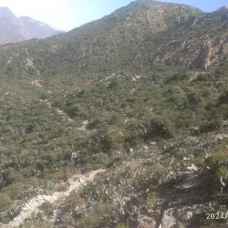 Ancient Ruins near Adi Quala - Adi Quala