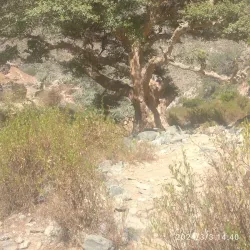 Ancient Ruins near Adi Quala - Adi Quala