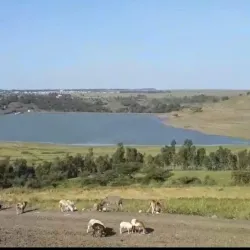 Nearby Agricultural Villages - Adi Quala