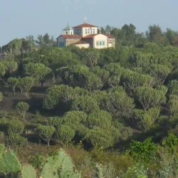 Nearby Agricultural Villages - Adi Quala