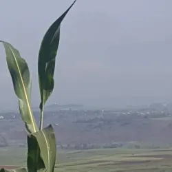 Nearby Agricultural Villages - Adi Quala