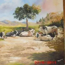 Traditional Eritrean Homes - Adi Quala