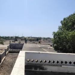 Marine Wildlife Watching - Assab