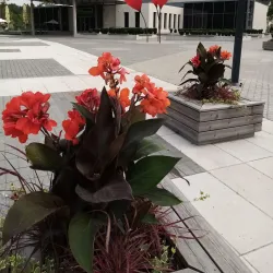 Elva Community Park - Elva