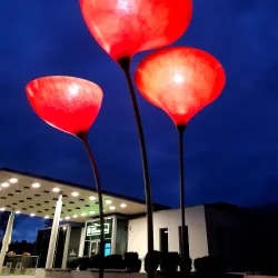 Elva Cultural Center - Elva