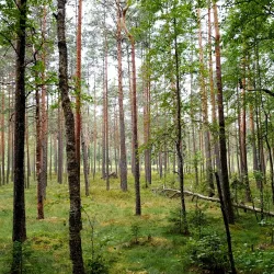 Elva Hiking and Cycling Routes - Elva