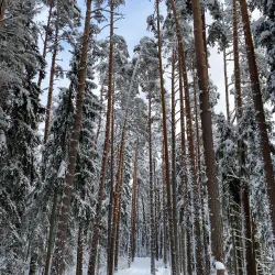 Elva Hiking and Cycling Routes - Elva