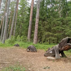 Elva Hiking and Cycling Routes - Elva