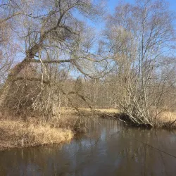 Elva Nature Trail - Elva