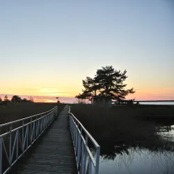Haapsalu Beach - Haapsalu