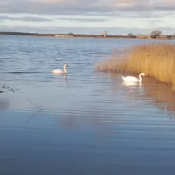 Haapsalu Beach - Haapsalu