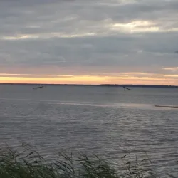 Haapsalu Beach - Haapsalu