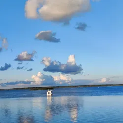 Haapsalu Promenade - Haapsalu