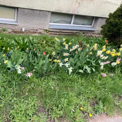 Jõgeva Cultural Center - Jogeva