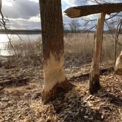 Jõgeva Nature Trails - Jogeva