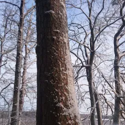 Jõgeva Nature Trails - Jogeva