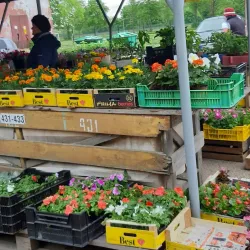 Johvi Market - Johvi