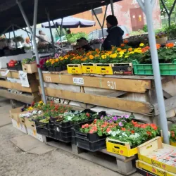 Johvi Market - Johvi