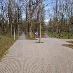 Johvi Park - Johvi