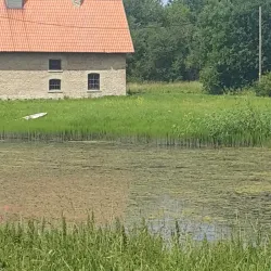 Purtse Castle - Johvi