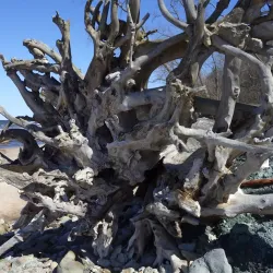 Saka Cliff and Waterfall - Johvi