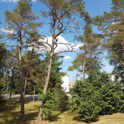 Keila Library - Keila