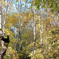 Keila River Trail - Keila