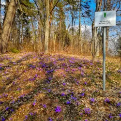 Keila River Trail - Keila