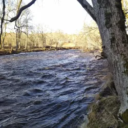 Keila River Trail - Keila