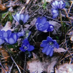 Keila River Trail - Keila