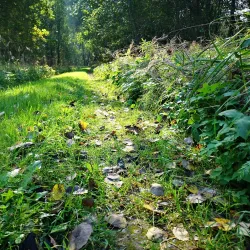 Ahtme District - Kohtla-Järve