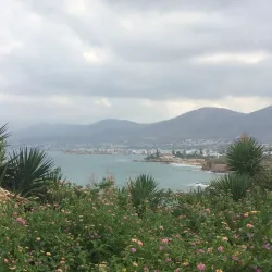 Kohtla-Nõmme Park - Kohtla-Järve